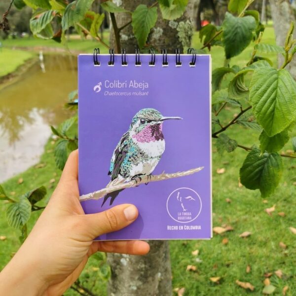 Libreta ilustrada de colibri abeja - La Tingua Bogotana - Imagen de referencia - vista interior
