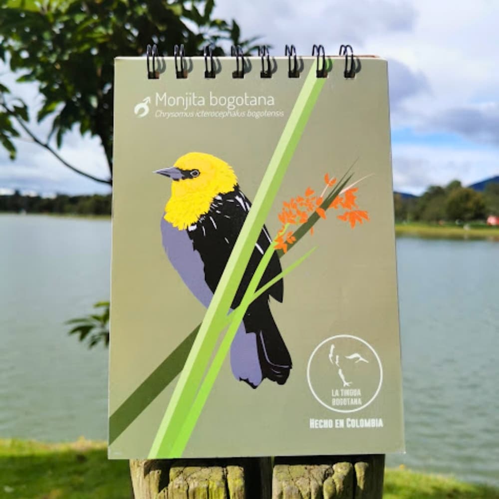 Libreta ilustrada de monjita bogotana - La Tingua Bogotana - Imagen de referencia - vista interior