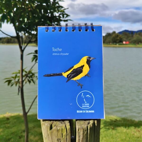 Libreta ilustrada de toche - La Tingua Bogotana - Imagen de referencia - vista interior