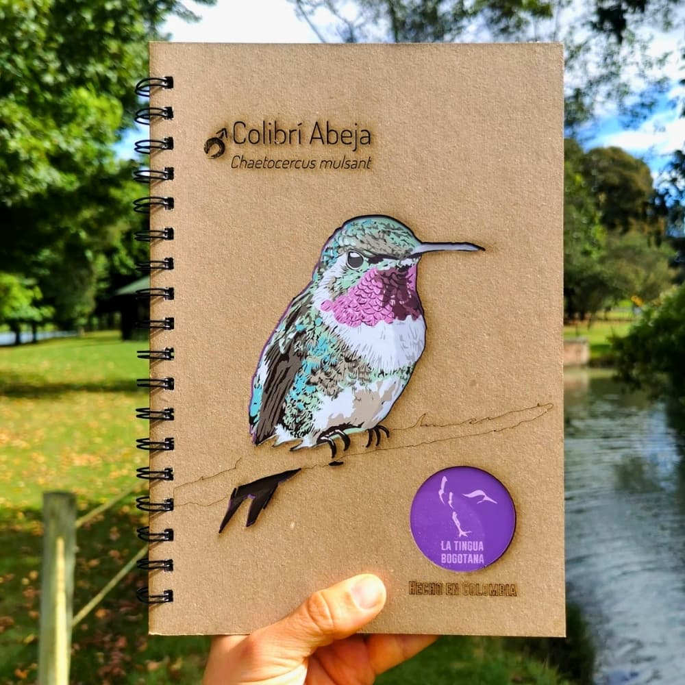 Libreta ilustrada de colibri abeja - La Tingua Bogotana - Imagen de referencia