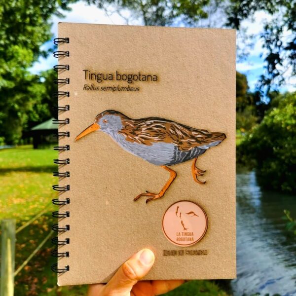 Libreta ilustrada de Tingua Bogotana - Imagen de referencia
