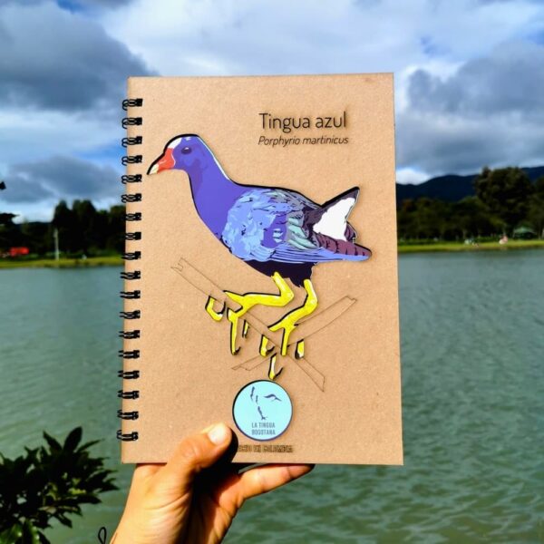 Libreta ilustrada de tingua azul - La Tingua Bogotana - Imagen de referencia