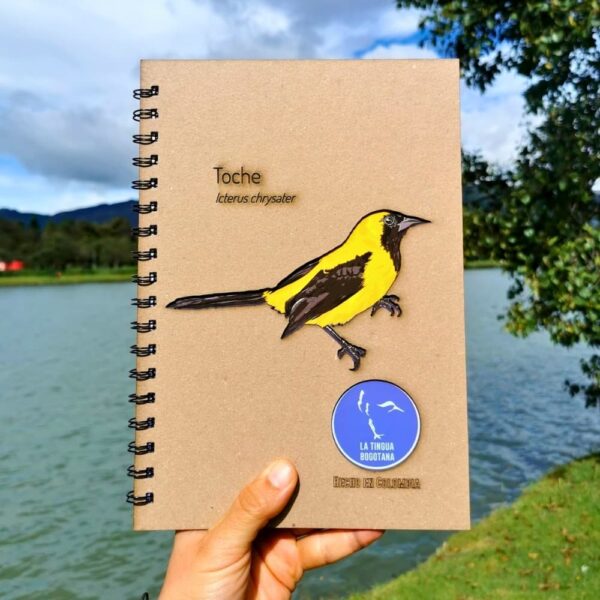 Libreta ilustrada de toche - La Tingua Bogotana - Imagen de referencia