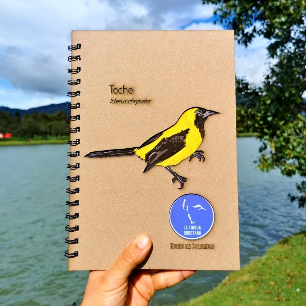 Libreta ilustrada de toche - La Tingua Bogotana - Imagen de referencia