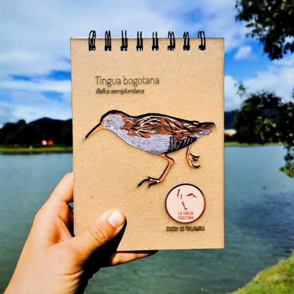 Libreta ilustrada de Tingua Bogotana - Imagen de referencia