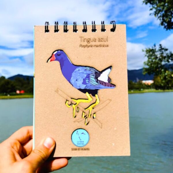 Libreta ilustrada de tingua azul - La Tingua Bogotana - Imagen de referencia