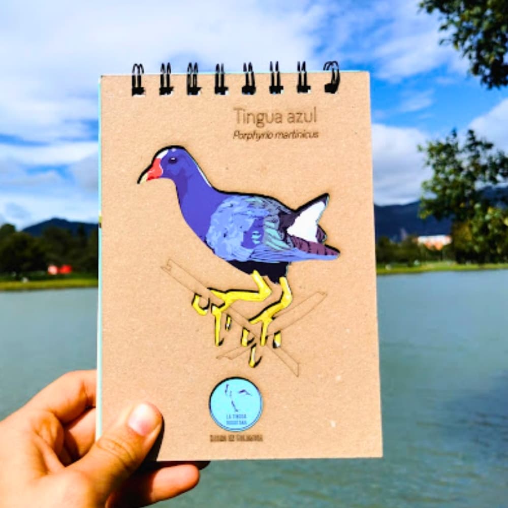 Libreta ilustrada de tingua azul - La Tingua Bogotana - Imagen de referencia