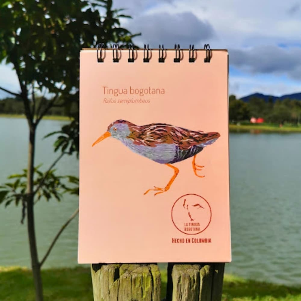 Libreta ilustrada de tingua Bogotana - Imagen de referencia - vista interior