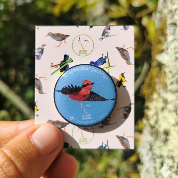 Pin ilustrado atrapamoscas pechirrojo
