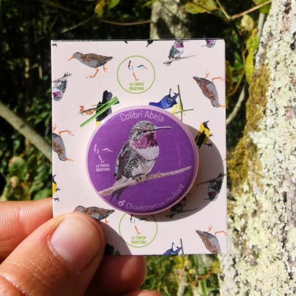 Pin ilustrado colibri abeja