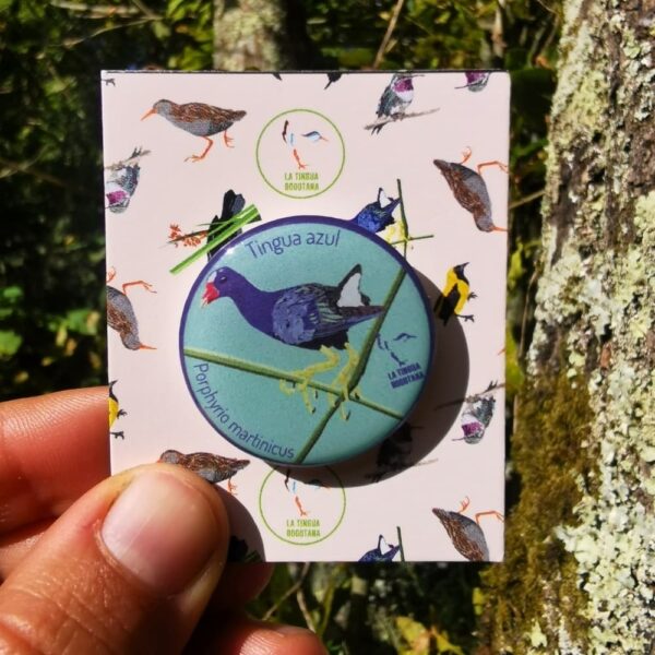 Pin ilustrado Tingua azul - Accesorio artístico bogotano en resina