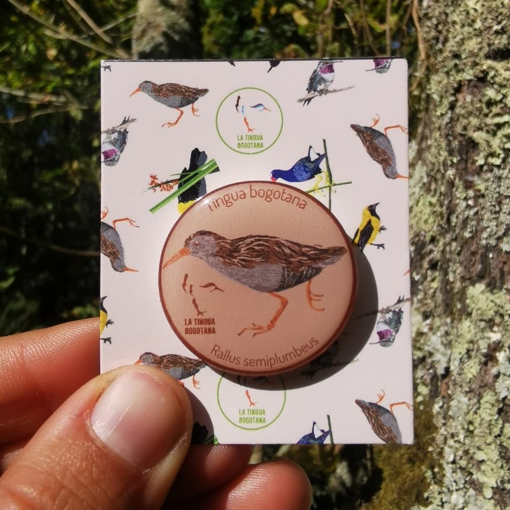 Pin ilustrado Tingua bogotana - Accesorio artístico bogotano en resina