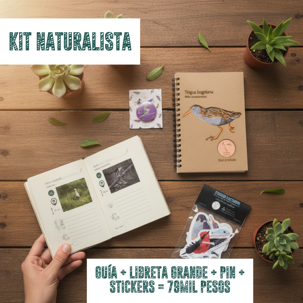 KIT NATURALISTA - Stickers + Libreta grande + Pin + Guía de aves