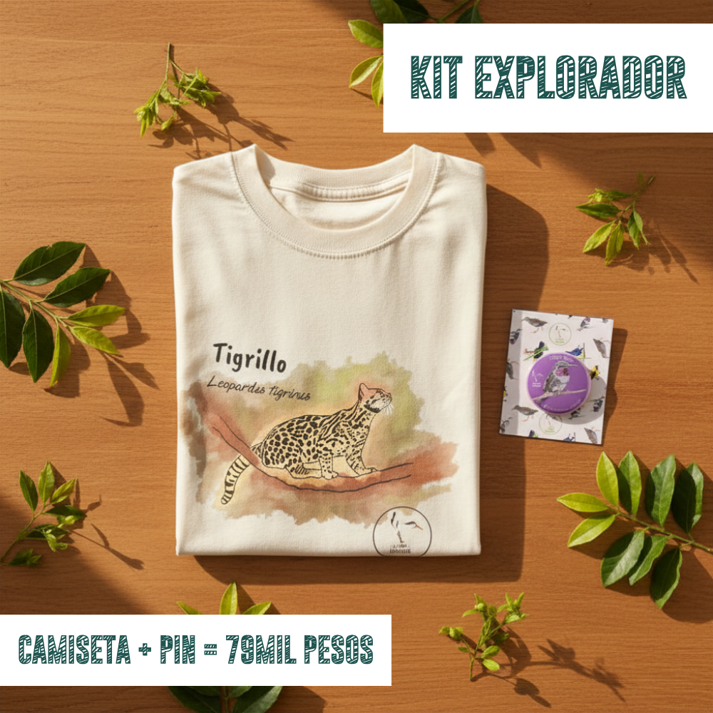 KIT EXPLORADOR - Camiseta + Pin